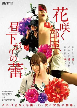 候鸟以南 家庭温情电影海报